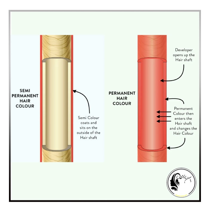مقایسه رنگ موی دائمی، نیمه دائمی و موقتی